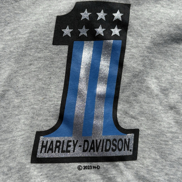 Harley-Davidson Kids Long Sleeve Raglan Shirt Blue Gray #1 Logo Size 4/5 NWT - Picture 6 of 7